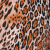 Ashley Animal Print