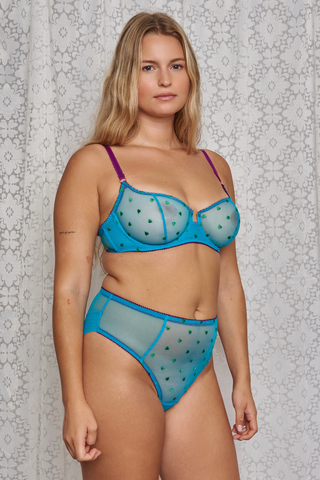 Dora Larsen Nelle Heart Embroidery Brief | High Waisted Briefs